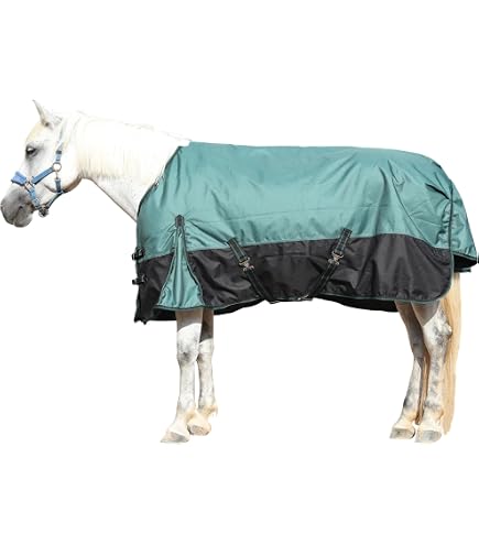 Amazon.com : Horze Avalanche 1200D High Neck Turnout Rain Sheet